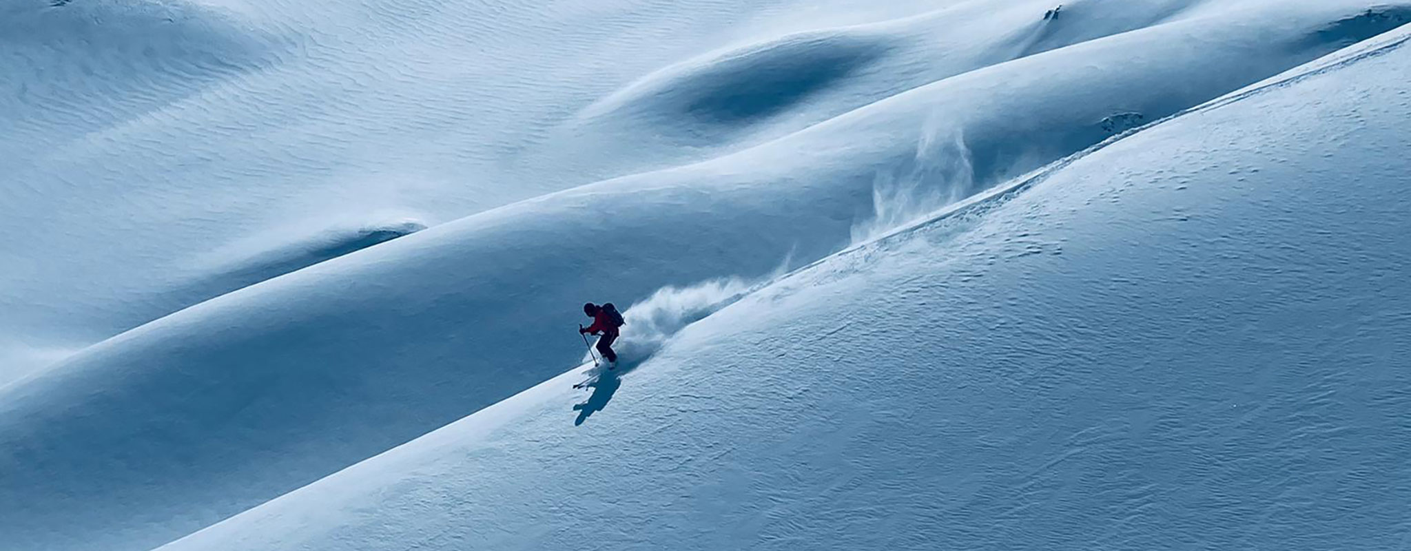 Foxmentors – High Performance