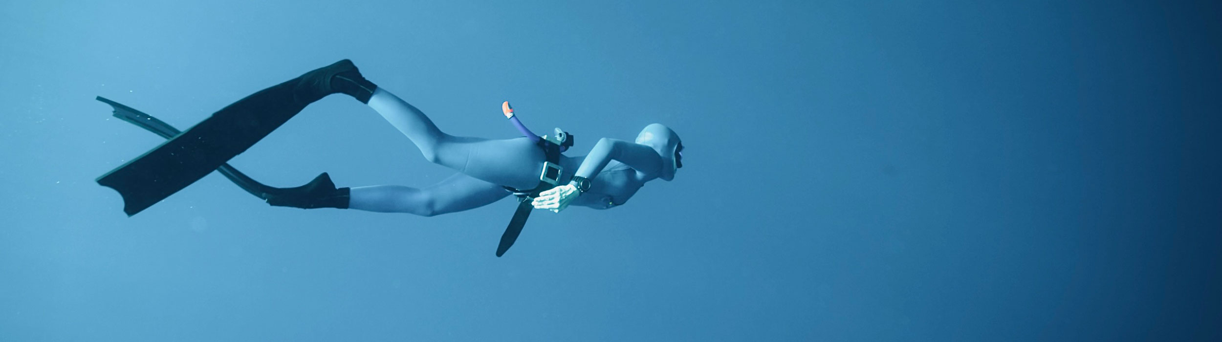 Foxmentors – Anpassungsfähigkeit